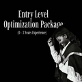 Entry-Level Optimization Package (0–3 Years Experience)